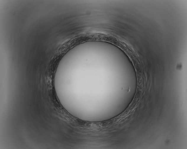 X0000097591013200802290744