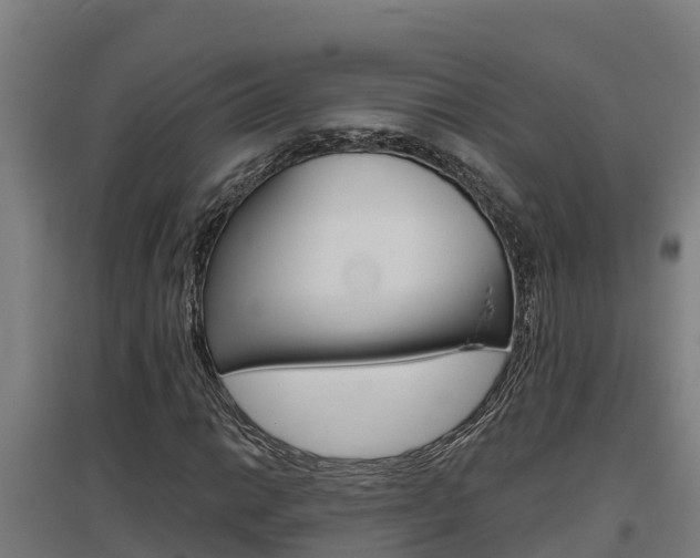 X0000097591014200802290745