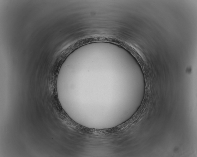X0000097591015200802290745