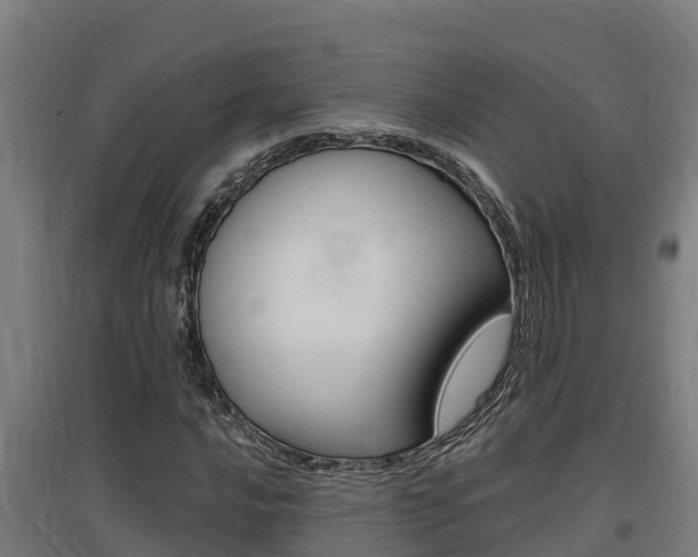X0000097591016200802290745