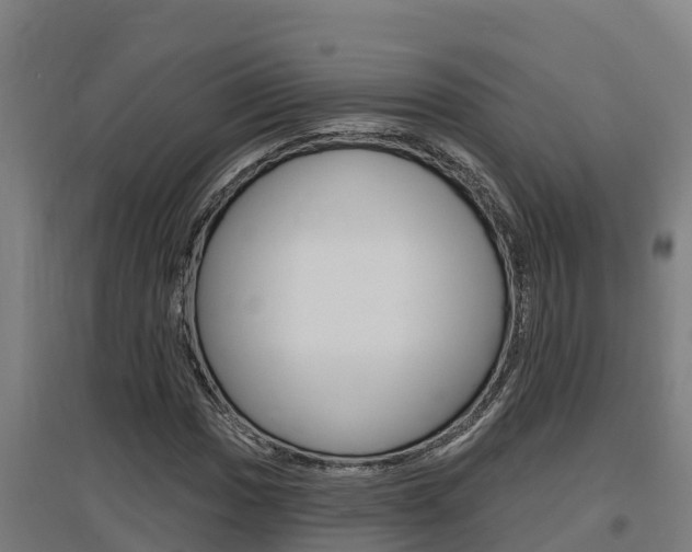 X0000097591017200802290745