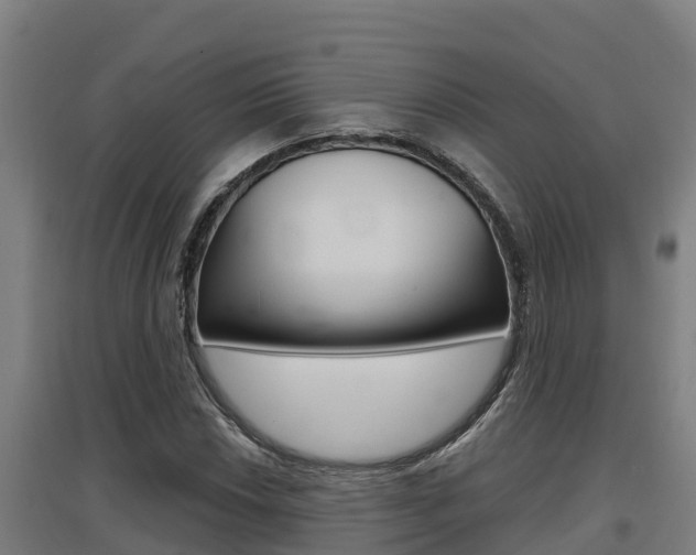 X0000097591018200802290745