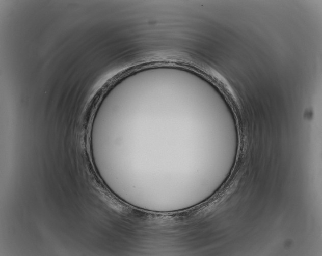X0000097591019200802290745