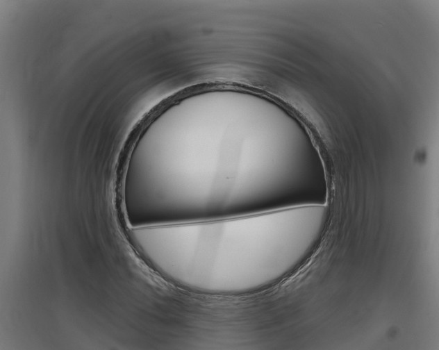 X0000097591020200802290745