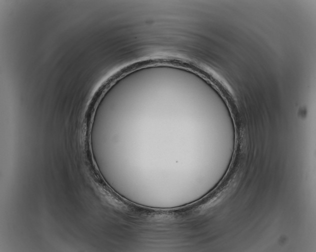 X0000097591021200802290745