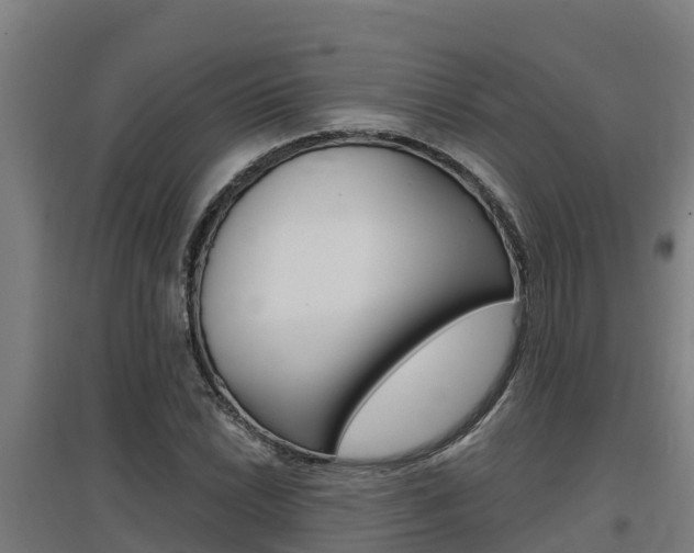 X0000097591022200802290745