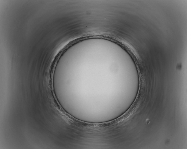 X0000097591023200802290745
