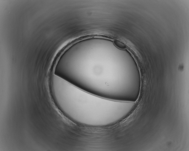 X0000097591024200802290745