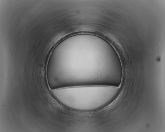 X0000097591025200802290745