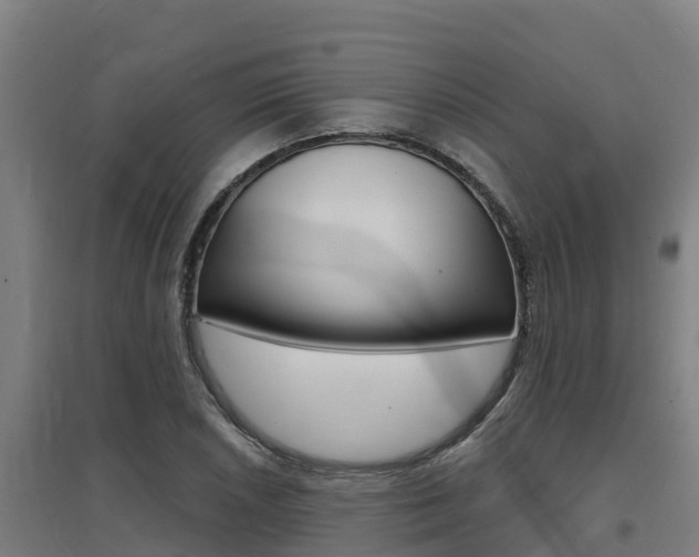 X0000097591026200802290745