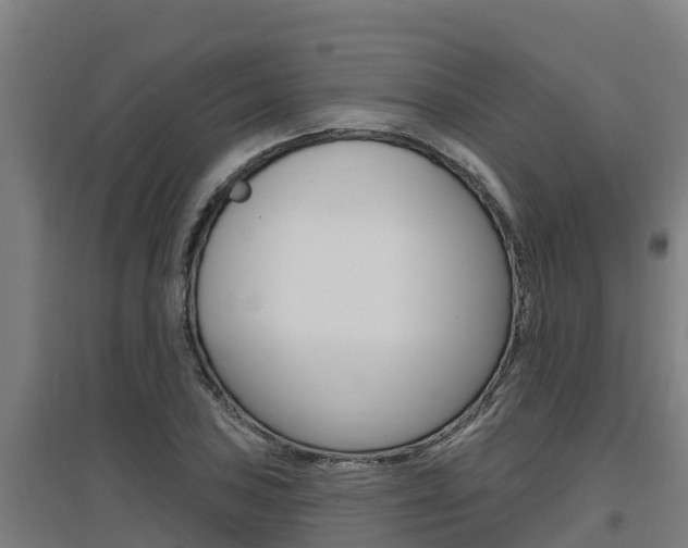 X0000097591027200802290745
