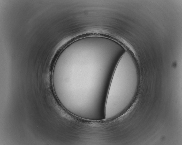 X0000097591029200802290745