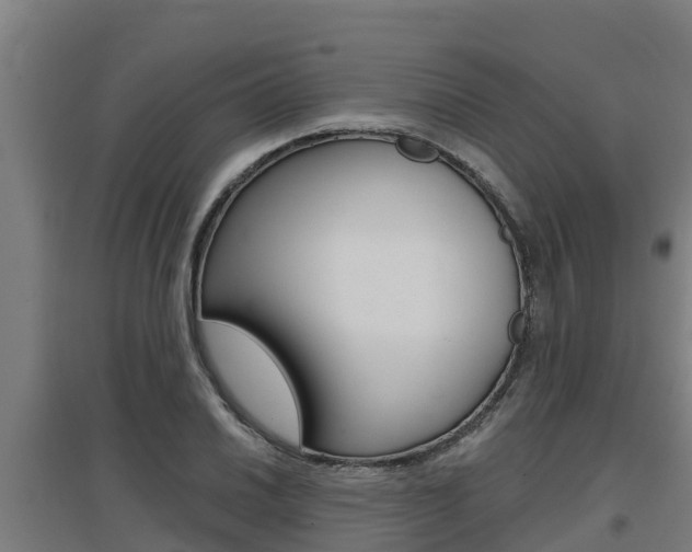 X0000097591030200802290745