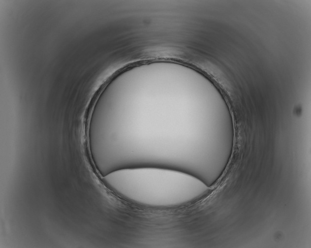 X0000097591031200802290745