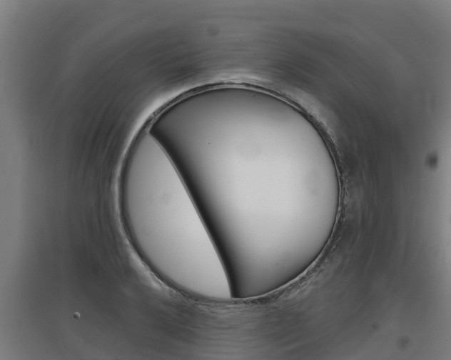 X0000097591032200802290745