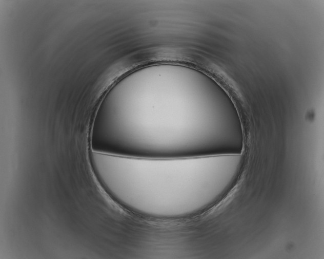 X0000097591033200802290745
