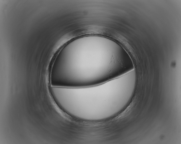X0000097591034200802290745