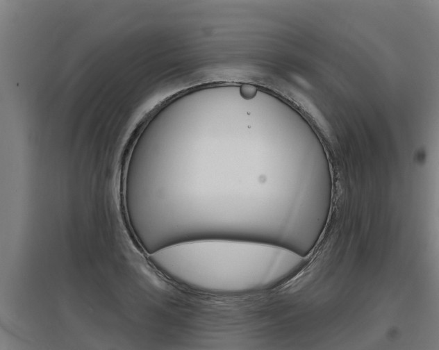 X0000097591035200802290745