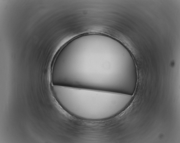 X0000097591036200802290745