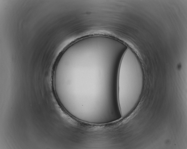 X0000097591038200802290745