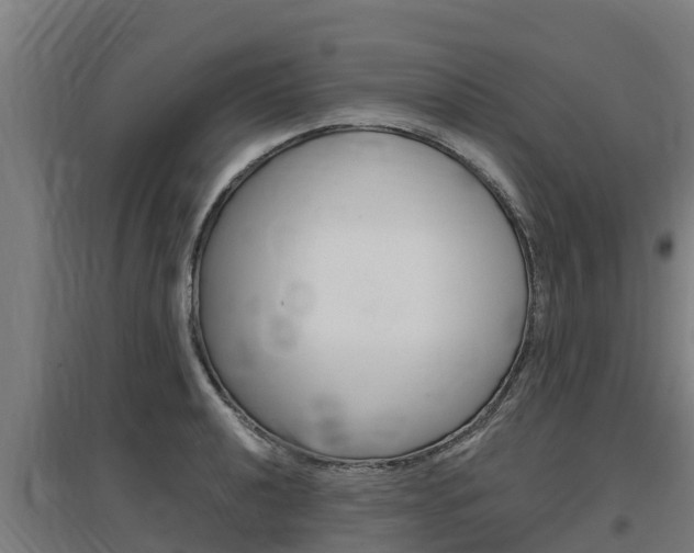X0000097591040200802290745