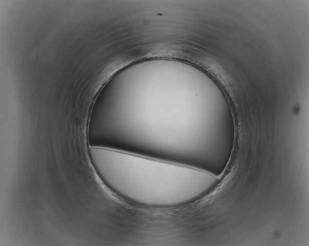 X0000097591041200802290745