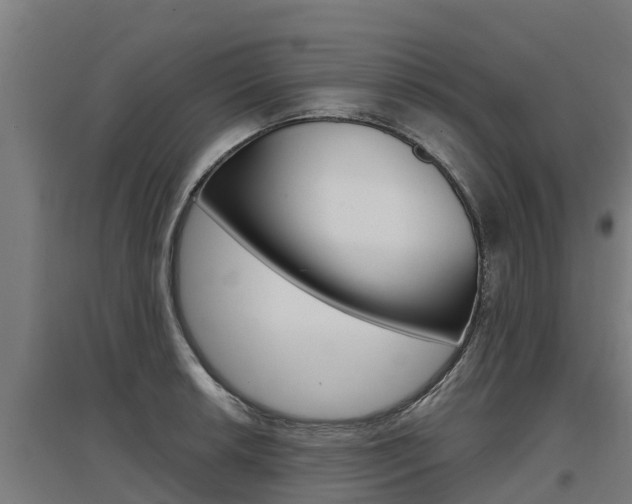 X0000097591042200802290745