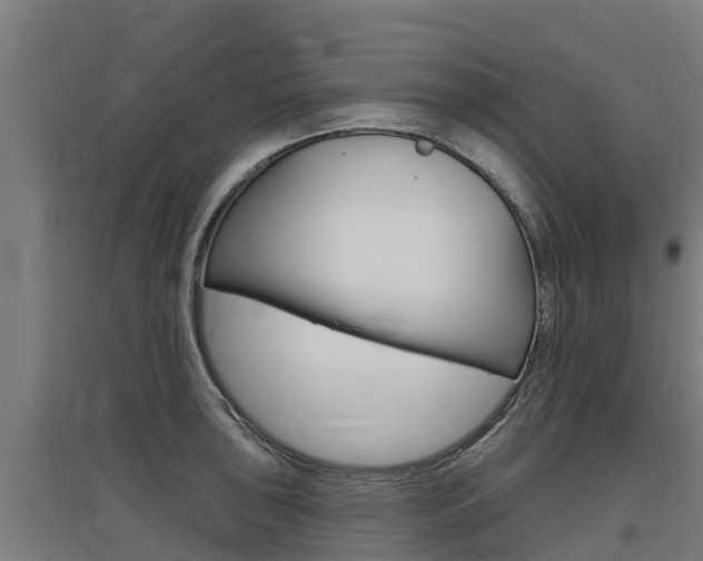 X0000097591043200802290745