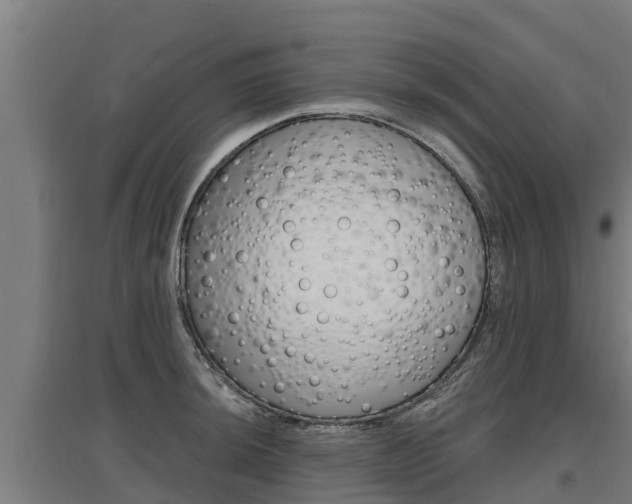 X0000097591044200802290745