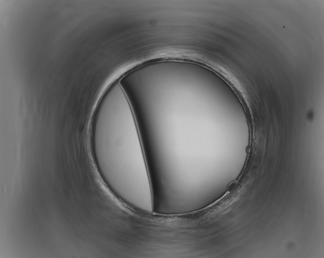X0000097591045200802290745