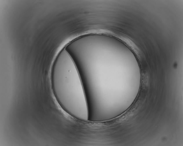 X0000097591046200802290745