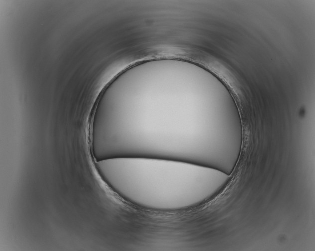 X0000097591047200802290745