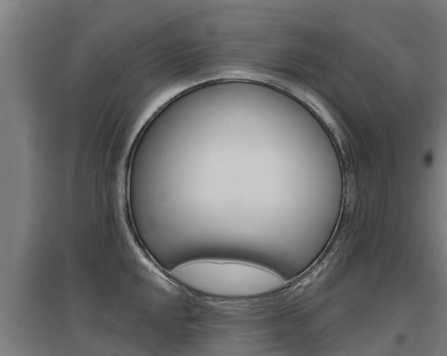 X0000097591048200802290745