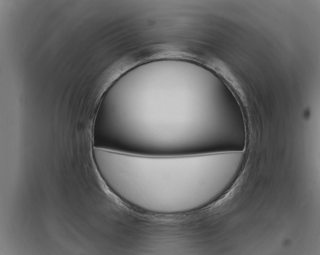 X0000097591049200802290745