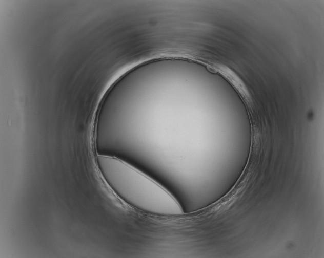 X0000097591052200802290745