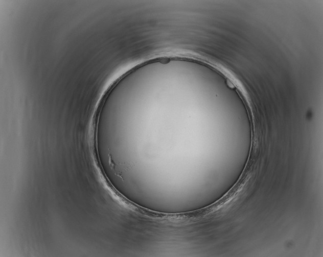 X0000097591053200802290745