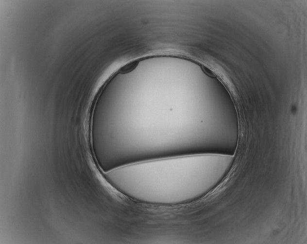 X0000097591054200802290745