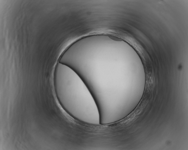 X0000097591055200802290745