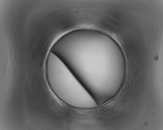 X0000097591056200802290745