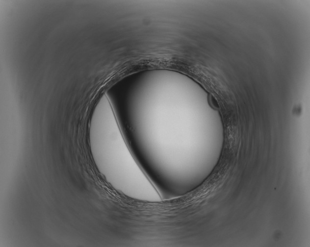 X0000097591057200802290744
