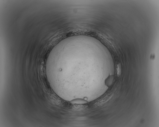 X0000097591059200802290744