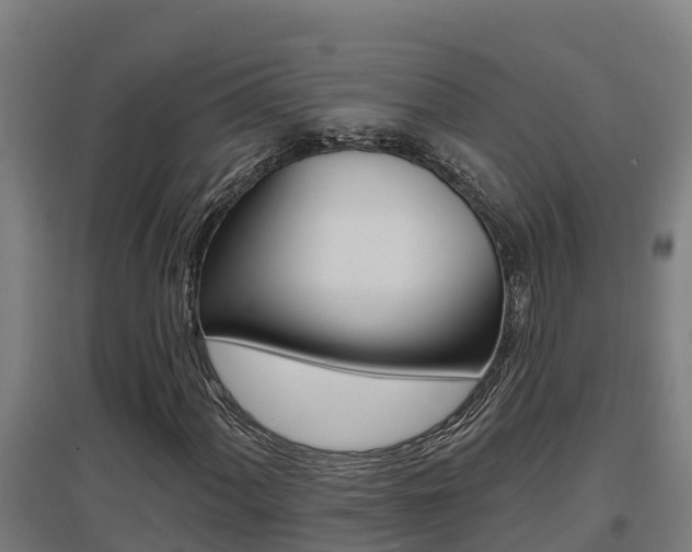 X0000097591060200802290744