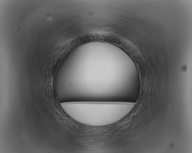X0000097591061200802290744