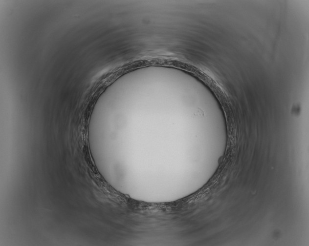 X0000097591063200802290744