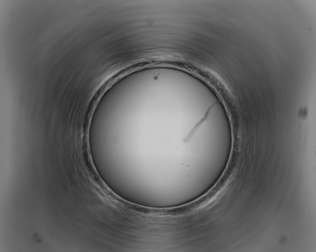 X0000097591065200802290744