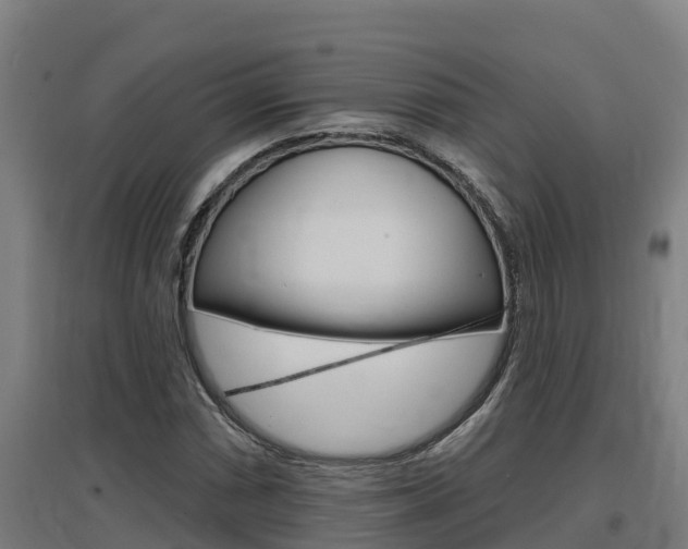 X0000097591066200802290744
