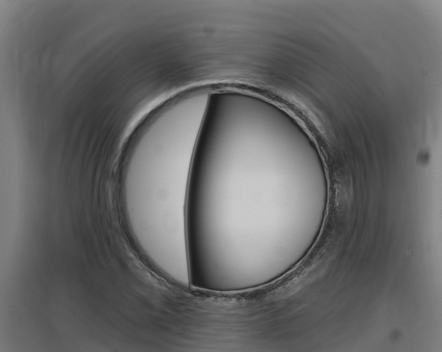 X0000097591069200802290744