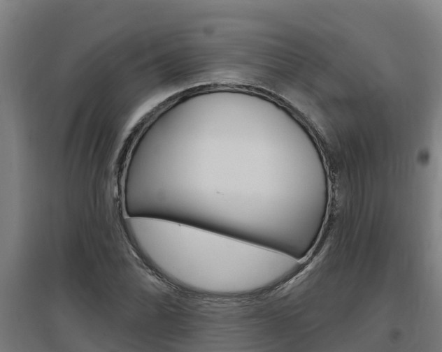 X0000097591070200802290744