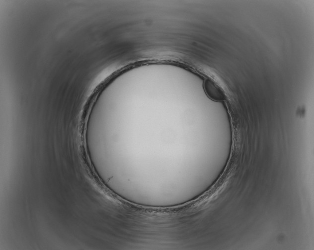 X0000097591071200802290744