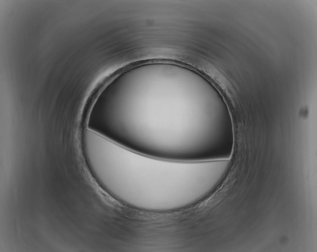 X0000097591072200802290744